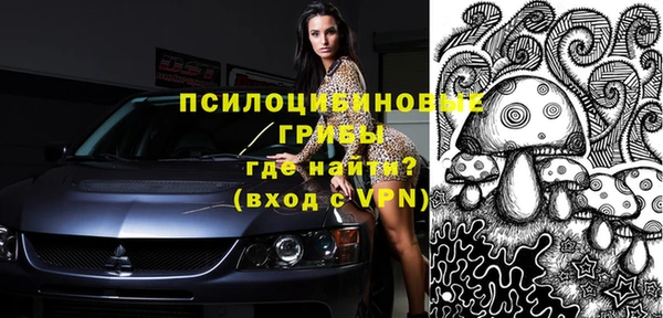 ПСИЛОЦИБИНОВЫЕ ГРИБЫ Богородск