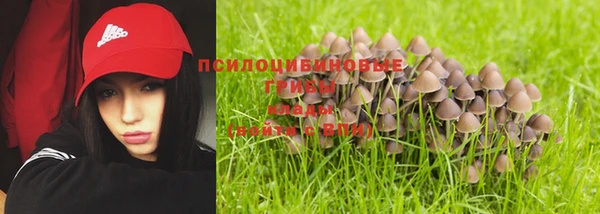 ПСИЛОЦИБИНОВЫЕ ГРИБЫ Богородск